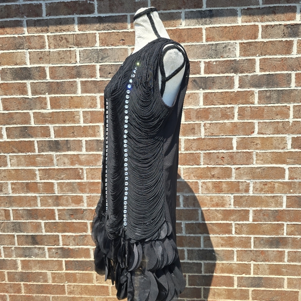 Fringe Flapper Dress With Crystals - Picture 7 of 10